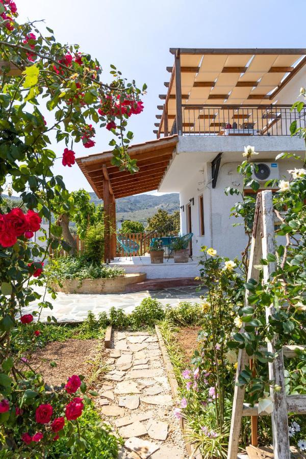 Eliva House Дом отдыха *