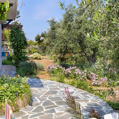 Eliva House Villa Chania  Exterior photo